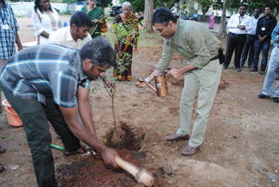 world environment day