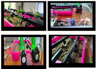 Smart India's Intellirrigator Output 1