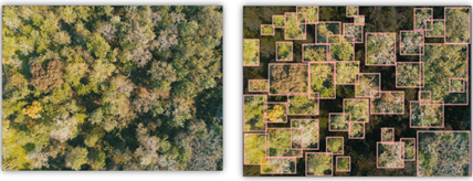 Tree Stocking Output 1