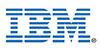 ibm center of excellence